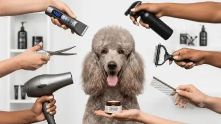 Dog Groomers