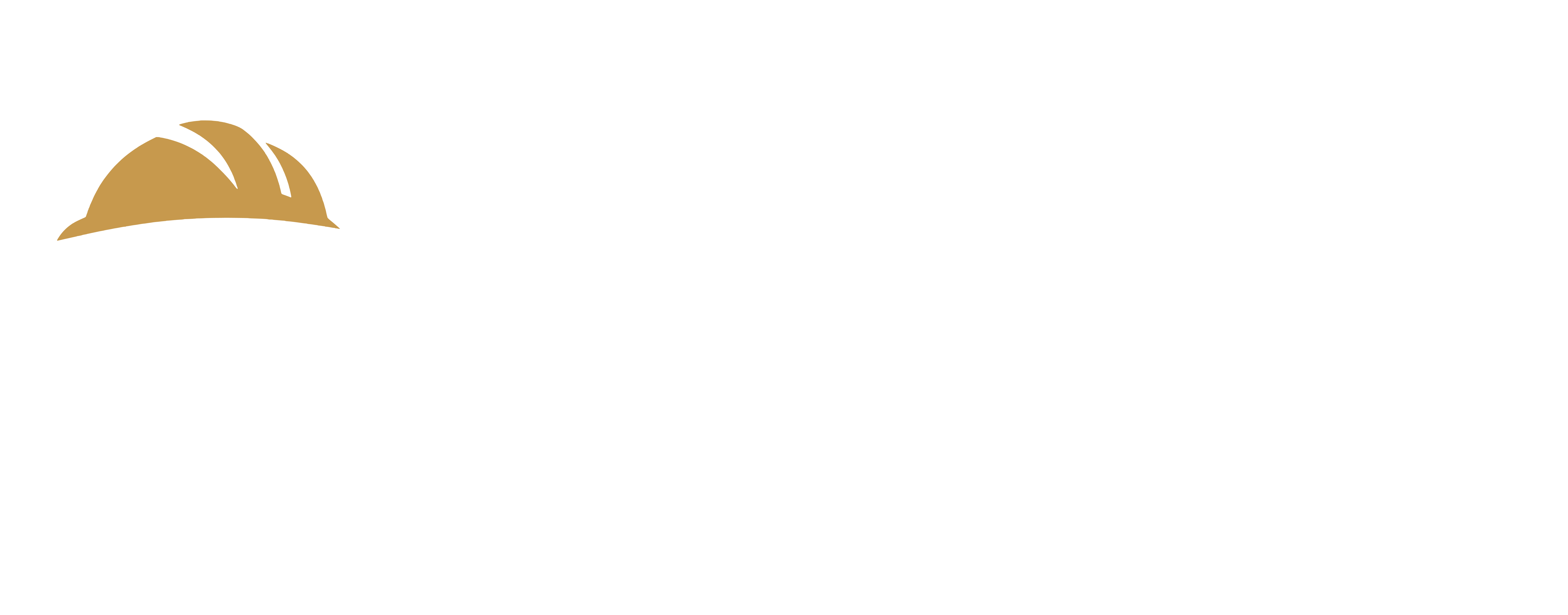 Sorin Systems